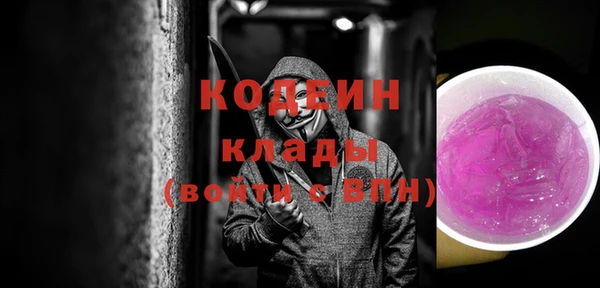 эйфоретик Покачи
