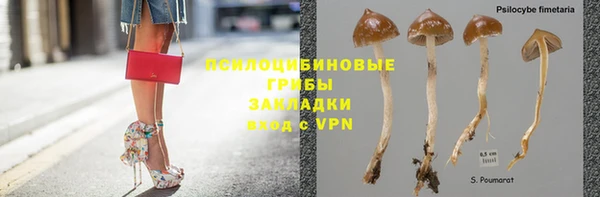 эйфоретик Покачи