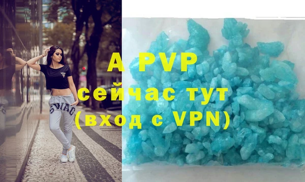эйфоретик Покачи