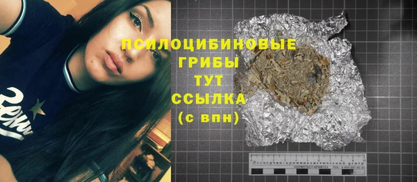 эйфоретик Покачи