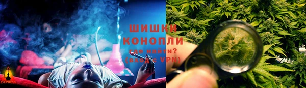 эйфоретик Покачи