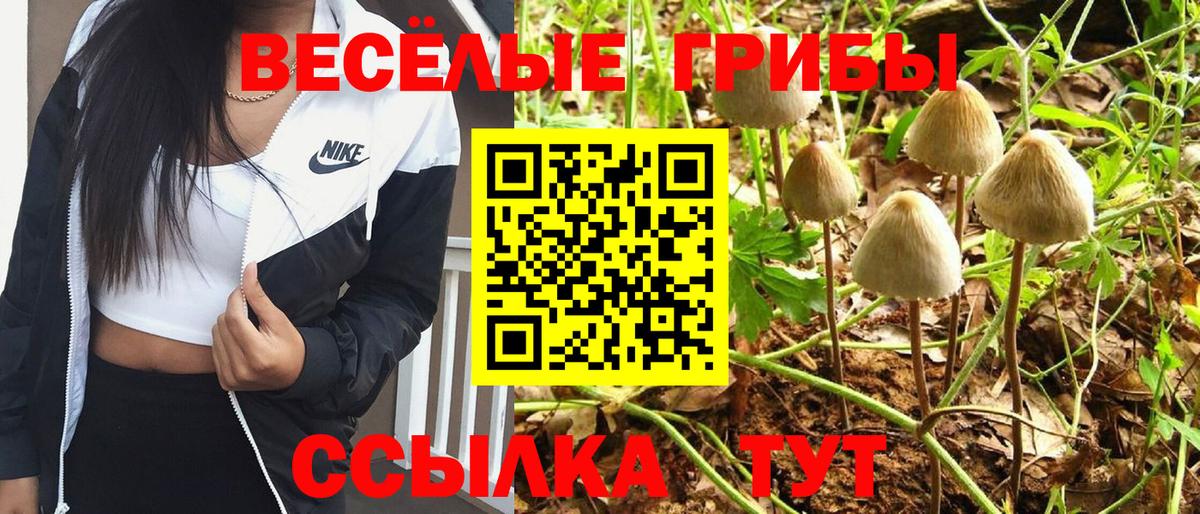 Галлюциногенные грибы Psilocybine cubensis  Борисоглебск  Псилоцибиновые грибы GOLDEN TEACHER 