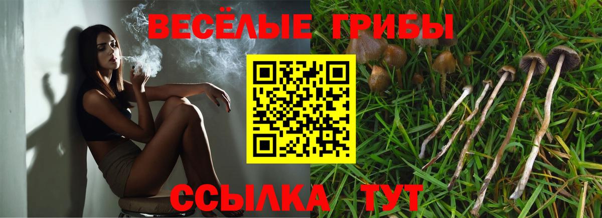 Псилоцибиновые грибы Psilocybine cubensis Борисоглебск